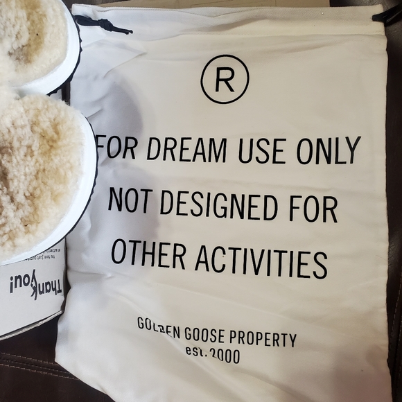 Golden goose slides - Picture 5 of 6